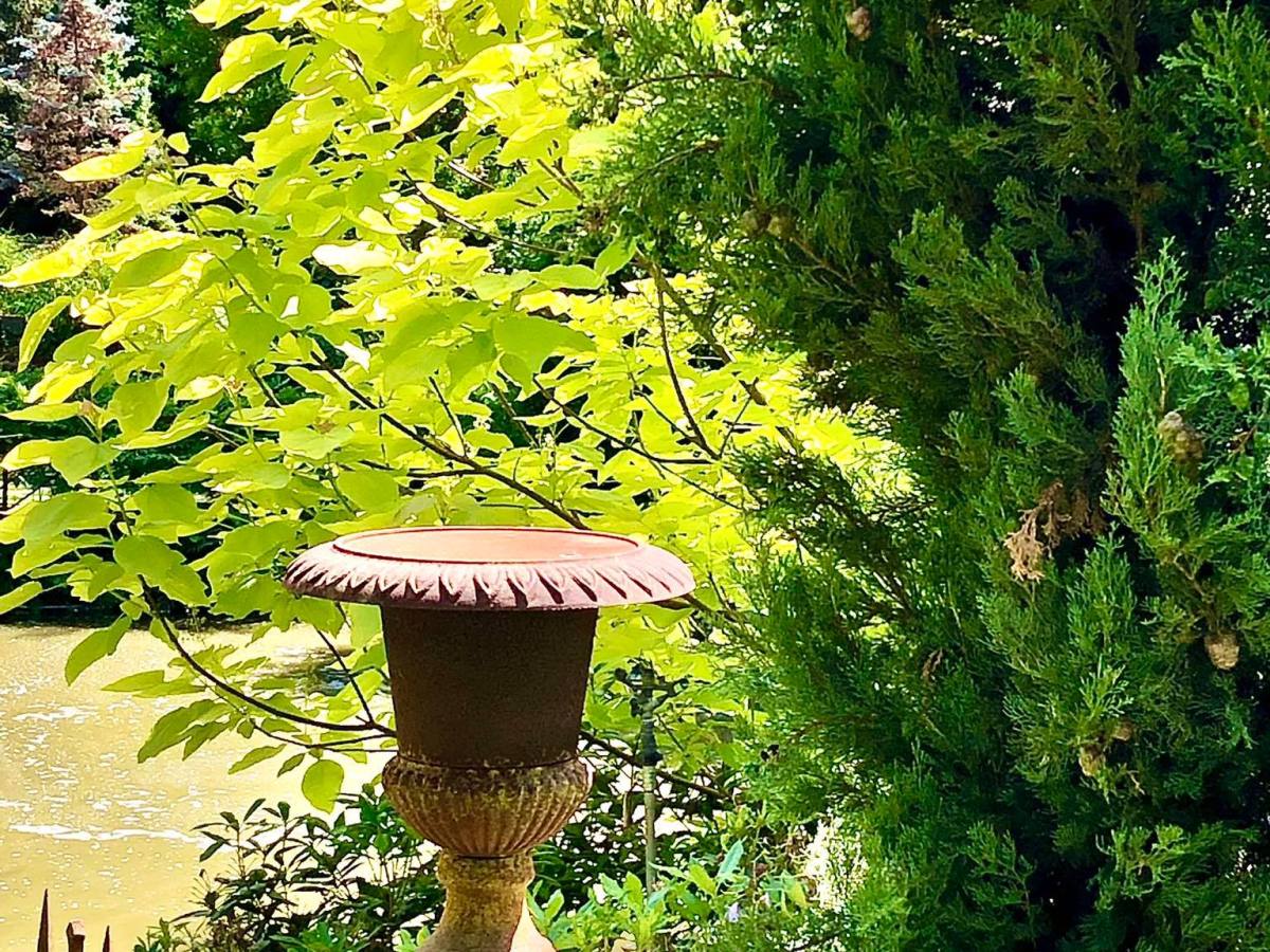 Heerlijk zomers genieten&nbsp;!